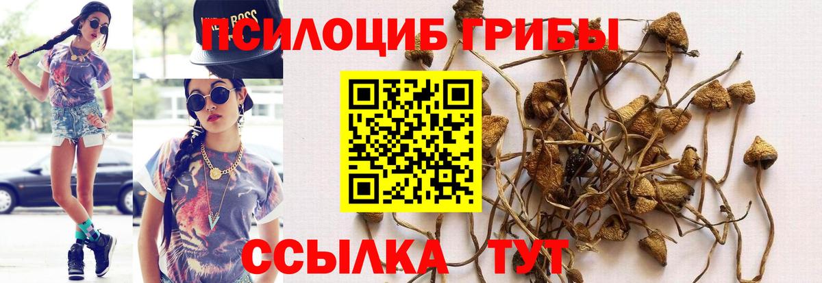 Псилоцибиновые грибы Magic Shrooms Луховицы