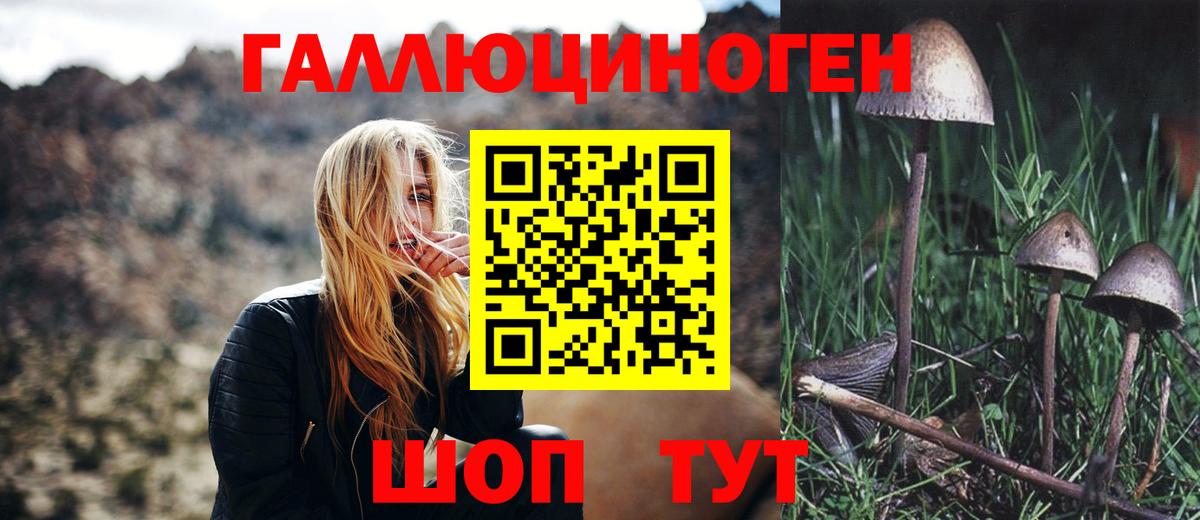  COCAIN Луховицы