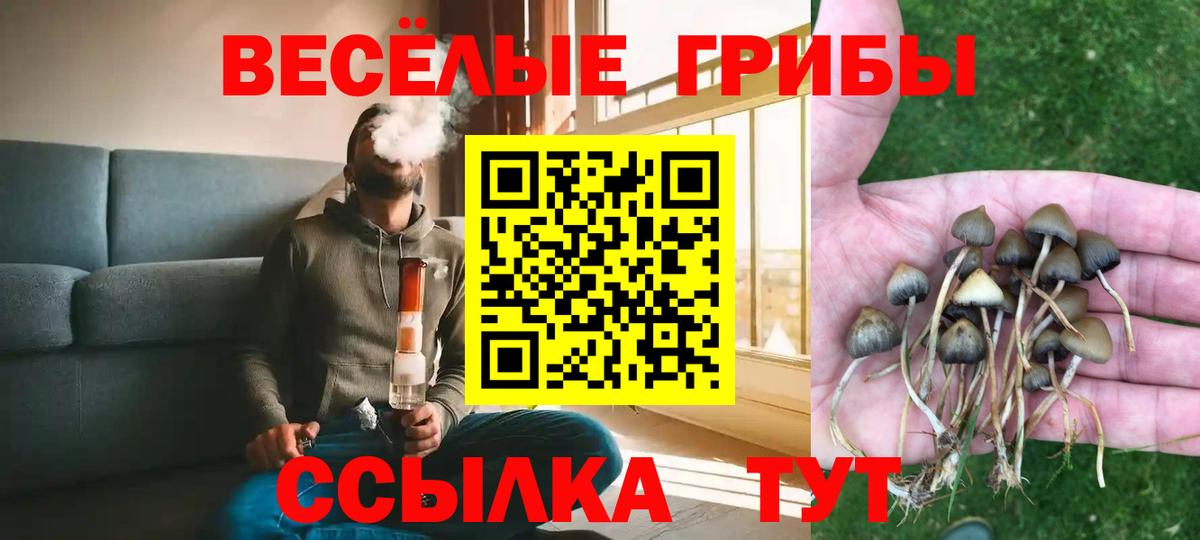 Луховицы  закладка  Вход с VPN  Галлюциногенные грибы ЛСД  Галлюциногенные грибы мицелий 